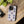 Lobsters Sailboats Seashells - Cell Phone Tough Case