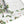 Christmas Table Runner Featuring Holly & Candy Canes