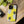 Pineapple Themed Phone Case