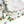 Christmas Table Runner Featuring Holly & Candy Canes