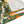 Orange Blossom Floral Table Runner