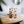 Pumpkin Spice 16oz Glass, Iced Pumpkin Spice Can Glass, Pumpkin Spice Cup, Glass Jar with Lid and Straw, 16oz Glass Cup, Libbey Cup