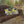 Outdoor Pillow - Lemon Citrus Outdoor Throw Pillow