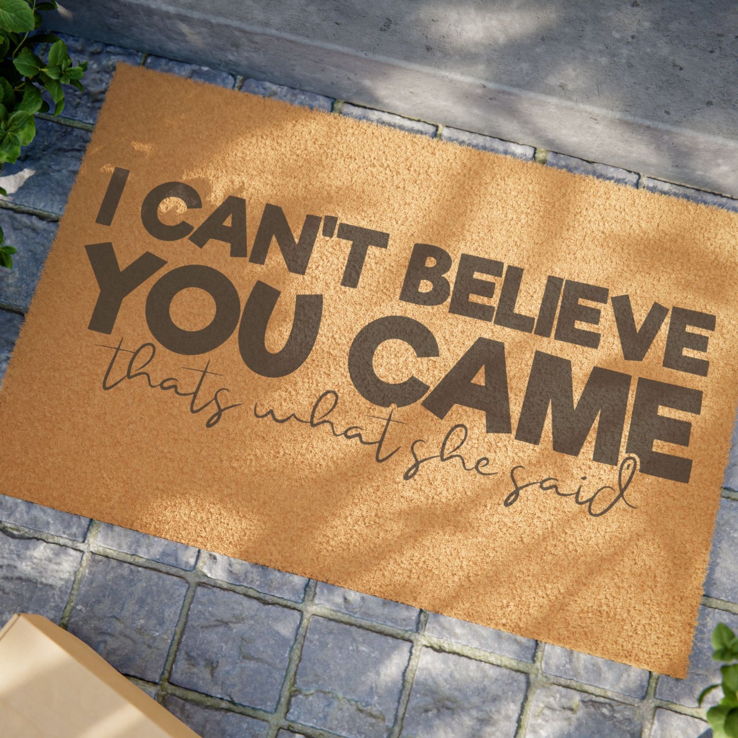 I Can't Believe You Came That's What She Said - Welcome Mat