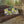 Outdoor Pillow - Lemon Citrus Outdoor Throw Pillow