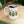 Chillin With My Gnomies Ceramic 11oz Mug, Gnomes and Shamrocks 11oz Mug