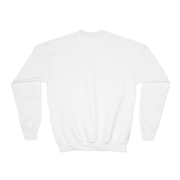 Youth Crewneck Sweatshirt — Pink Ballet Bow Grid Graphic for Girls, Cute Dance Crewneck