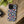 Lobsters Sailboats and Seashells on Navy Blue Phone Case