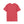 Born to Ride Motorcycle TShirt