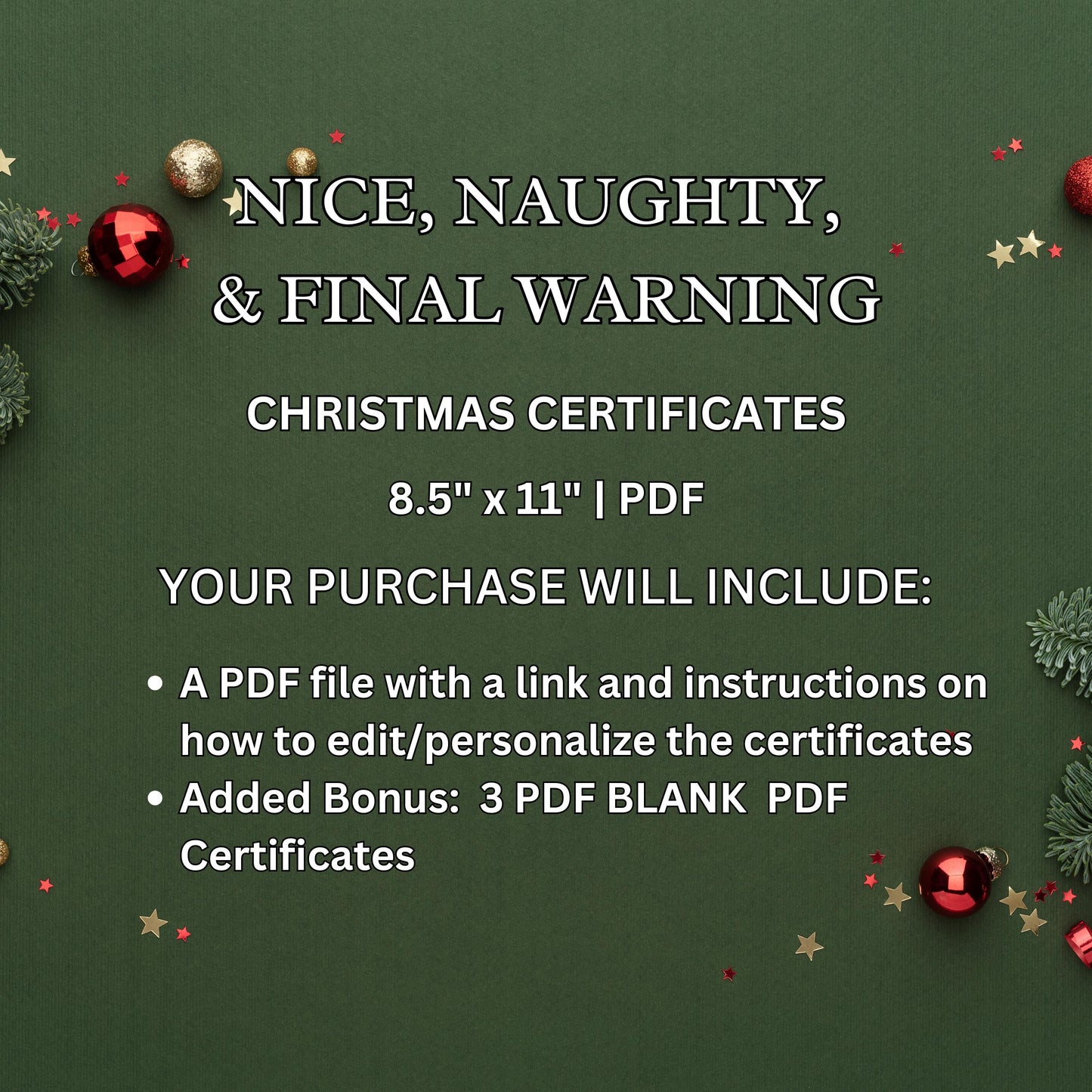 Personalized Nice & Naughty List Certificate Instant Download Nice List Certificate Printable Naughty List Certificate Editable File